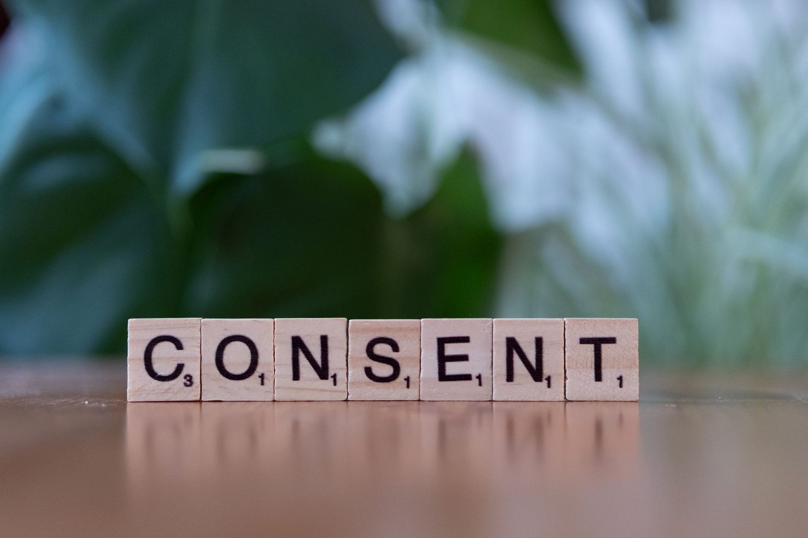 Lettere di legno che compongono la parola «consent» poggiate su un tavolo, con piante verdi sfocate sullo sfondo